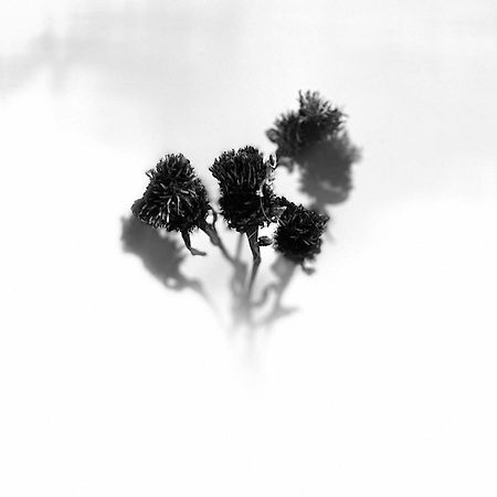 Macallen Nairn Bagian luar foto