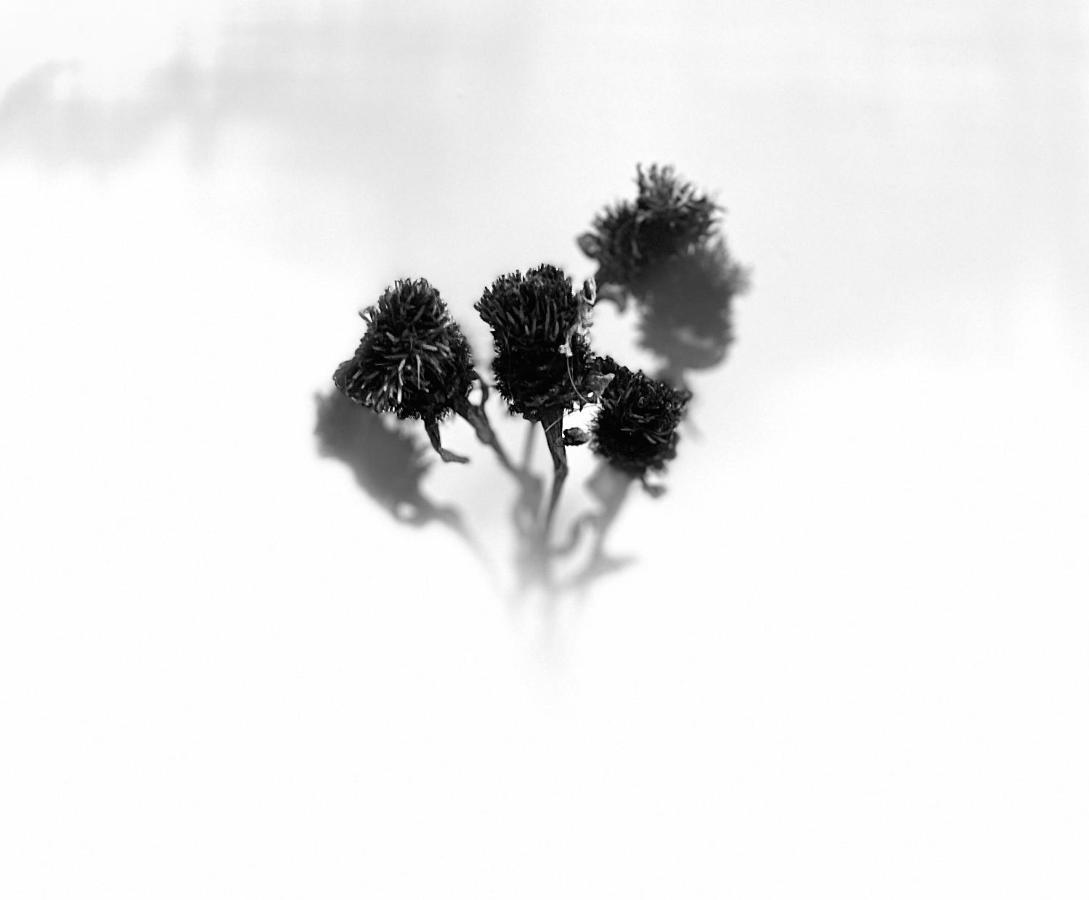 Macallen Nairn Bagian luar foto